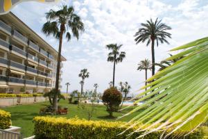 ミアミ・プラトーヤにあるLos Flamencos, frontal al mar y playa a 10 metrosのギャラリーの写真