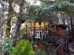 a tree house in the middle of a forest at Calen-Hue in San Carlos de Bariloche