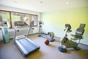 Fitness centrum a/nebo fitness zařízení v ubytování Hotel Waldlust