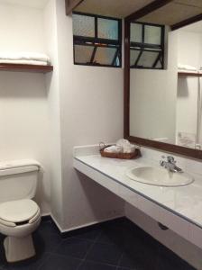 a bathroom with a sink and a toilet and a mirror at Hotel Real de Huasca in Huasca de Ocampo