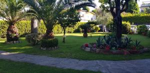 Zahrada ubytování Hotel Ambra