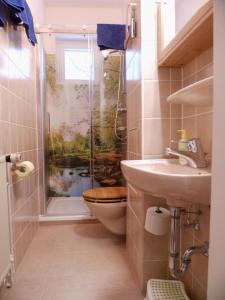 ein Bad mit einer Dusche, einem WC und einem Waschbecken in der Unterkunft Harzglück in Hahnenklee-Bockswiese