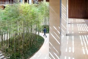 Hyatt Regency Beijing Wangjing في بكين: حديقة من أشجار الخيزران على جانب المبنى
