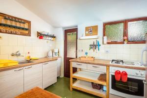 Köök või kööginurk majutusasutuses Holiday Home Gluscevic