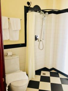 永珍的住宿－帕蘇克維恩錢特拉酒店，一间带卫生间和淋浴的浴室