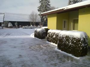 Privat No 13 v zime