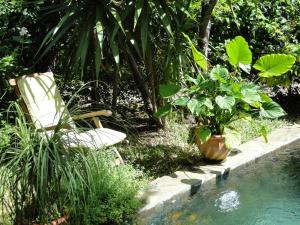 a chair and plants next to a swimming pool at Villa Sirandane in Baie du Tombeau