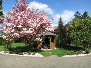 A garden outside Feldererhof