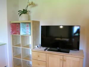 A television and/or entertainment centre at Feldererhof