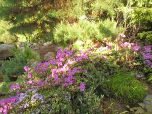 Giardino di Pension U Kaktusu