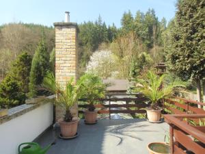 a patio with palm trees in pots on a balcony at Pension U Kaktusu in Karlovy Vary