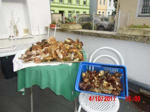 Cibo presso l'affittacamere o nelle vicinanze