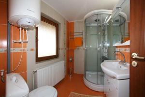 a bathroom with a shower and a toilet and a sink at Casa Nicu Murighiol in Murighiol