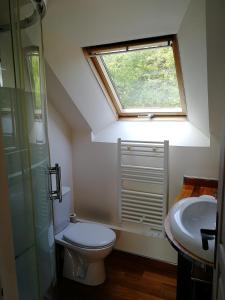 a bathroom with a toilet and a sink and a window at Les longères de keridy in Brech +25 photos