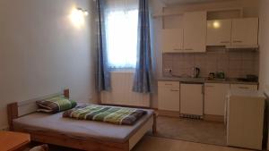 Kuchyňa alebo kuchynka v ubytovaní Pop's Rooms - Transilvania