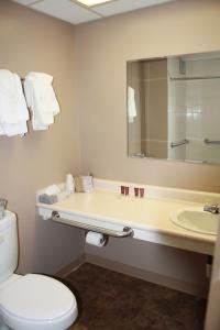 Un baño con inodoro, lavabo y espejo. en Sunlac Inn Lakota, en Lakota