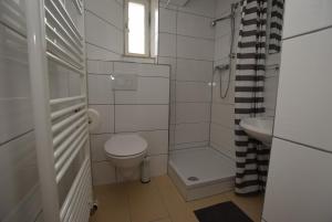 シュトゥットガルトにあるApartment Stuttgart Ostの小さなバスルーム(トイレ、シンク付)