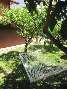 Zahrada ubytování Casa de Madera