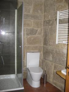 a bathroom with a white toilet and a shower at Ares do Montemuro in Campo Benfeito