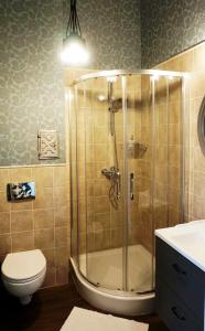 a bathroom with a shower with a toilet and a sink at DK Apartament Romantyczny in Olsztyn