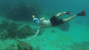 Snorkelen en/of duiken bij het vakantiehuis of in de buurt