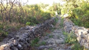 Fotografia z galérie ubytovania Robinson house Krunica v destinácii Pašman