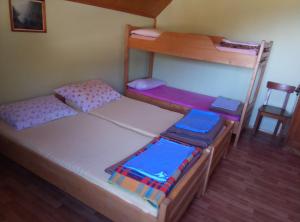 two bunk beds in a room with a ladder at Mountain Lodge Smrekovc in Šoštanj