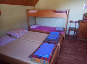 Zimmer mit 2 Etagenbetten und einer Leiter in der Unterkunft Mountain Lodge Smrekovc in Šoštanj