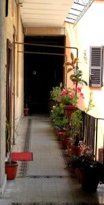 korytarz z roślinami doniczkowymi przed budynkiem w obiekcie MANDRUCHELLO'S w Rzymie