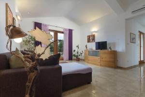 Μια τηλεόραση ή/και κέντρο ψυχαγωγίας στο Villa NaNa - modern Villa with a pool surrounded by nature, Istria-Pula