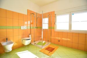 un bagno con doccia, WC e lavandino di Ankin Dvor a Galovac Altre 16 foto