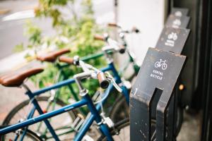 Attività di ciclismo presso l'ostello o nelle vicinanze