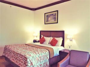 新德里的住宿－Hotel Samrat, New Delhi，配有一张床和一把椅子的酒店客房