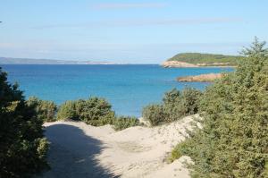 Táj Show holiday homes közelében