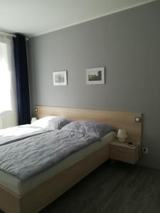 Schlafzimmer mit einem Bett und einem Fenster in der Unterkunft Apartmán na výsluní in Luhačovice