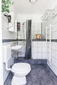 Koupelna v ubytování Sobe Bača + 31 fotografií