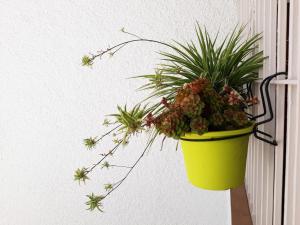 Fotografia z galérie ubytovania Mi Jardin v destinácii Benalmádena