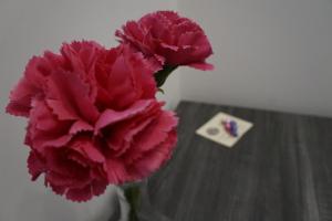 Fotografie z fotogalerie ubytování Palazzo IrMa - Hotel - B&B Luxury v destinaci Vibo Valentia