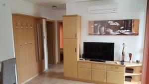 Televízia a/alebo spoločenská miestnosť v ubytovaní Gina apartman Siófok