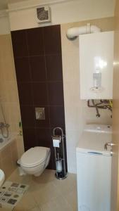 Kúpeľňa v ubytovaní Gina apartman Siófok