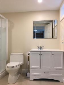 a bathroom with a white toilet and a mirror at Victoria Harbour Cottages in Victoria Harbour