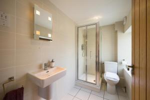 a bathroom with a toilet and a sink and a shower at Ashbrook Lets Apartments in Blewbury