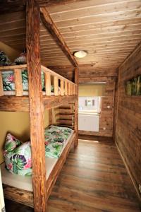 a room with two bunk beds in a cabin at Traumhafte Ferienwohnungen im Naturpark Zittauer Gebirge Haus Tanneck in Hain