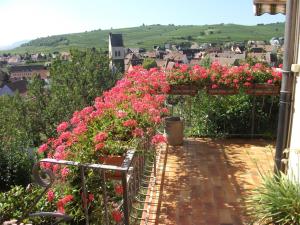d'un balcon avec des fleurs roses et une vue sur la ville. dans l'établissement "les amandiers", à Mittelwihr
