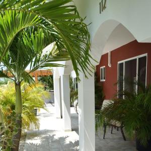 a courtyard of a house with a palm tree at Ladybugs Apartments in Palm-Eagle Beach