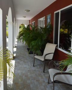 a hallway with chairs and plants in a building at Ladybugs Apartments in Palm-Eagle Beach