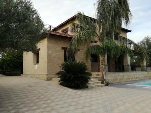 a house with a palm tree in front of it at Valencia Grove Villa in Miliou