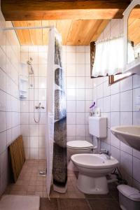 y baño con aseo, lavabo y ducha. en House Marijana en Rakovica