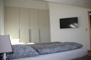 Telewizja i/lub zestaw kina domowego w obiekcie Ferienwohnung Grimmingblick