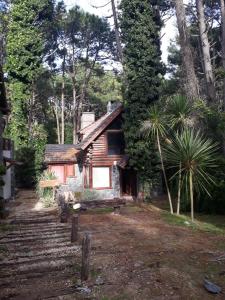 una pequeña casa en medio de un bosque en Cabaña La Maga en Balneario Mar Azul